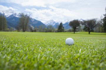 detail of golf ball on grass
