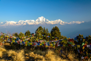 Annapurna summit with view from Poonhill, tibetan praying flags in the front, Nepal