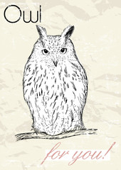 Poster with owl. Vintage style. 