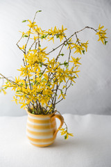 forsythia