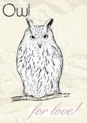 Poster with owl. Vintage style. 