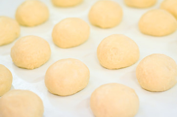 Fototapeta na wymiar raw bun ready to bake