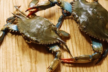 Live crabs on wooden board