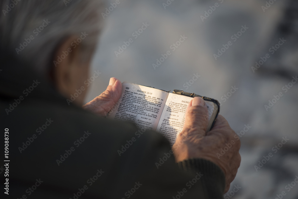 Wall mural old man reading holy bible book in spanish