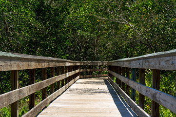 low view of wooden boardwalk in florida
