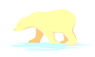 bear vector