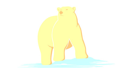 Polar bear vector