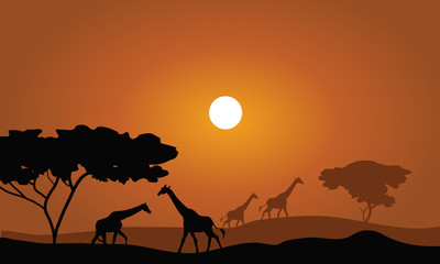 Giraffe silhouette savanna landscape