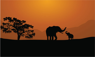 Fototapeta na wymiar Silhouettes of elephants on mountain backgrounds
