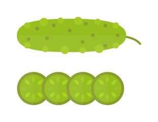 Fresh green cucumber cut sliced cooking illustration in modern flat vector style. 