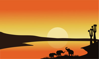 Obraz na płótnie Canvas Elephant family of silhouette