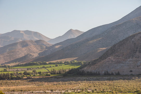 Elqui Lombo Valley, Chile.