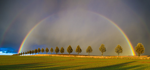 Spring colorful rainbow over the field after passing rainstorm

