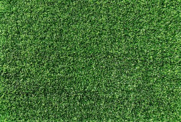 Fototapeta premium Green grass texture background