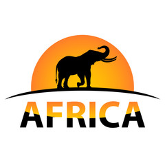 vector Africa