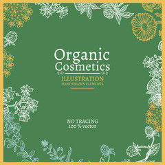 Organic cosmetics template herbs and plants