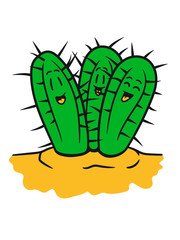 funny buddies team 3 kakten comic cartoon face sand desert thorn flowerpot cactus desert design large green cool