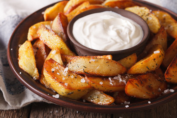 Hot Potato wedges and mayonnaise on a plate closeup. Horizontal
