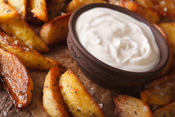 Tasty hot potato wedges and mayonnaise close-up. Horizontal
