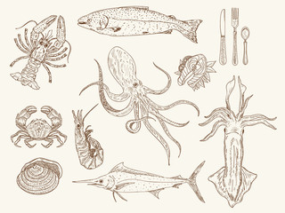 Seafood collection hand drawn vintage sketch vector illustration