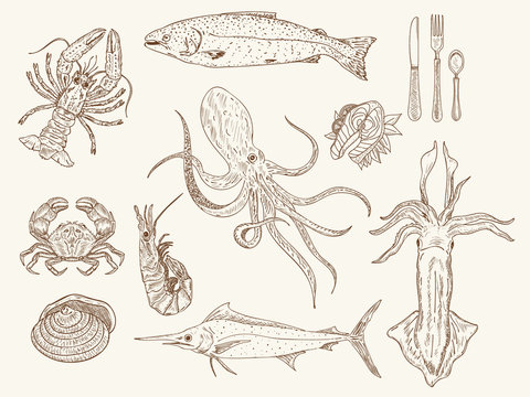 Seafood collection hand drawn vintage sketch vector illustration