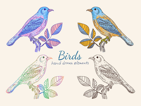 Vintage birds Collection