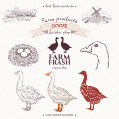 Fototapeta na wymiar Goose farm collection hand drawn elements