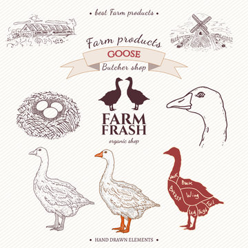 Goose farm collection hand drawn elements