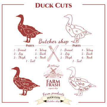 Duck cuts