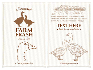 Fototapeta na wymiar Goose and duck farm fresh products design template