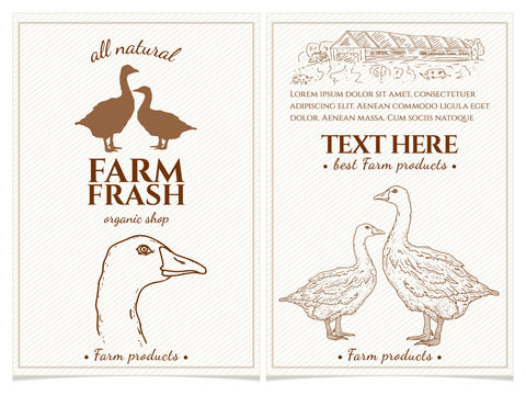 Goose and duck farm fresh products design template