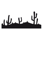 landscape pattern desert evening night sunset sunrise kakten cactus hot hot