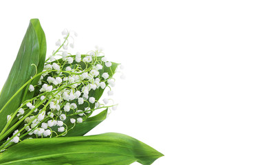 Lily of the valley flowers bouquet on white background