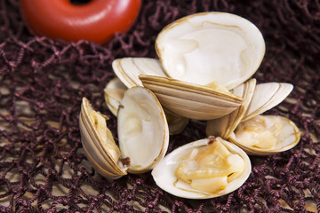 clams on fishing net