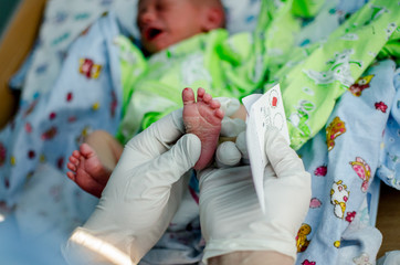 doctor takes a blood test in newborns