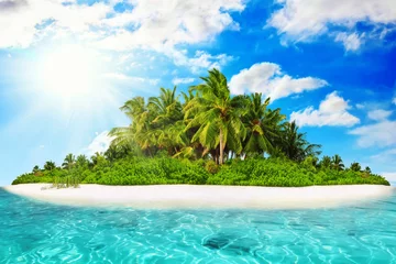 Foto op Plexiglas Whole tropical island within atoll in tropical Ocean on a summer © BRIAN_KINNEY