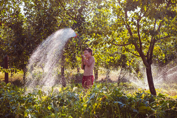 Watering of a garden