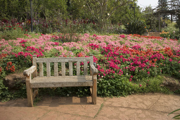 Old wooden bench in garden