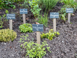 Kräutergarten