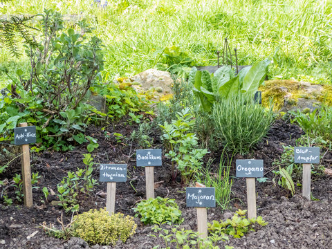 Kr&auml;utergarten