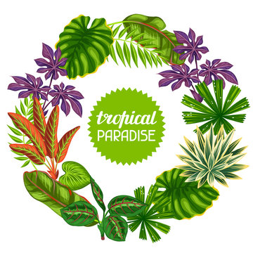 Frame with tropical plants and leaves. Image for advertising booklets, banners, flayers