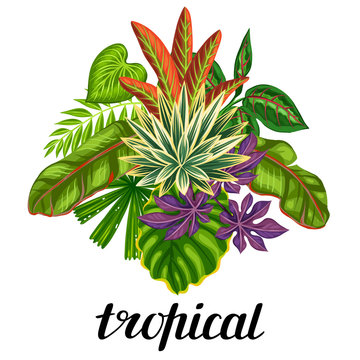 Background with stylized tropical plants and leaves. Image for advertising booklets, banners, flayers, cards, textile printing