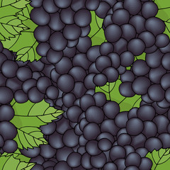 Seamless pattern background grapes. Lots of black grapes vector.