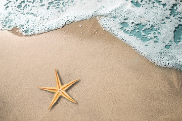  020603600101 © Butch