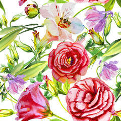 Fototapeta na wymiar Irish rose watercolor, bud