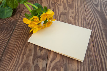 greeeting card, yellow flowers on shaby wooden background.