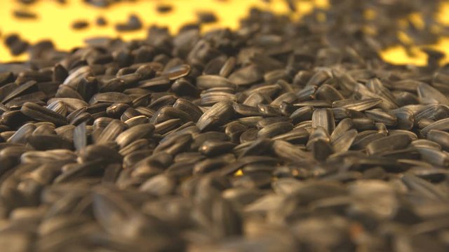 Sunflower seeds on a yellow background. Slow motion. Close-up. Vertical pan. 2 Shots