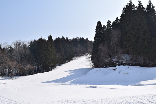 スキー場／山形県の庄内地方で、スキー場を撮影した写真です。