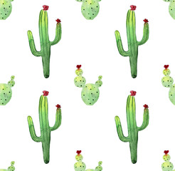 Watercolor cactus seamless pattern. Colorful vibrant cactus succulents