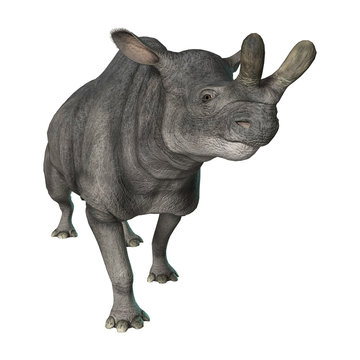 3D Rendering Brontotherium on White